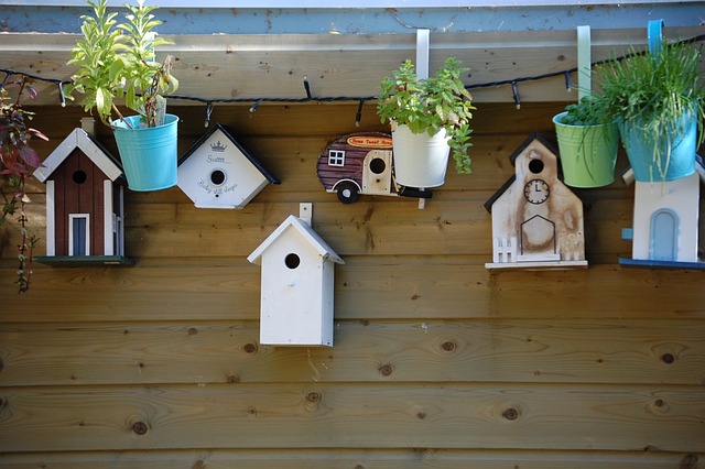 De 5 mest populære fuglehusdesign med nemme instruktioner til at bygge!